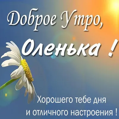 Kristina on X: \"@OlgaLubimova7 Доброе утро, Ольга, хорошего дня и отличного  настроения! https://t.co/vqF1gQqx5L\" / X