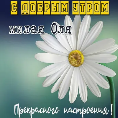 Алина Г. on X: \"@Olga010105 Спасибо, милая Оленька! Доброе утро!  Прекрасного дня тебе! Пусть радует окружающая летняя красота и улучшают  настроение происходящие события! 🌺☀️💚☀️🦋 https://t.co/6s0znX9AzJ\" / X