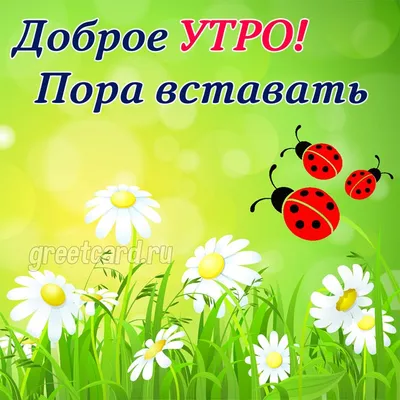 Открытки | Доброе Утро! Отличного дня! Музыкальная открытка с добрым утром,  пожелания с добрым утром, доброе утро открытка, видео открытка доброе утро  | Дзен