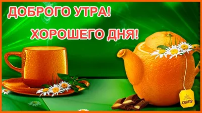 ДОБРОЕ УТРО! 🌞 ПОЗИТИВА 🍊🍎🍋 и главное ЗДОРОВЬЯ ! ❤😉💐😋❤ Улыбнись, и  весь мир улыбнется тебе в ответ! | Кофейные карточки, Доброе утро, Смешные  открытки