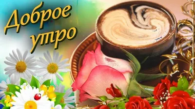 🌺🌿 ЯГОДКИ, ДОБРОЕ УТРО, ОТЛИЧНОГО ДНЯ! 🌿🌺 Доброе утро всем, кто  проснулся, Всем, кто родным своим.. | ВКонтакте