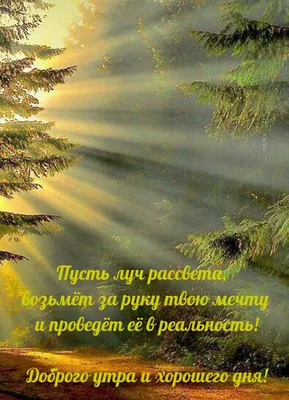 Доброе утро, хорошего дня! Море улыбок пусть ждет в нём тебя. Ты глазки  свои поскорей открывай... | ВКонтакте