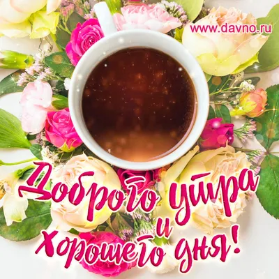 Доброе утро! #Хорошего дня! | TikTok