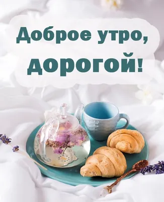 Доброе утро любимый — картинки для мужчины | Zamanilka | Good morning my  love, Good morning love, Good morning images