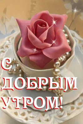 ДОБРОЕ УТРО, ПРИНЦЕССА! КАК СПАЛОСЬ? - ЭТО ЕЁ МУЖ. ЧЁТЕБЕ НАДО? - ДОБРОЕ  УТРО, МУЖ, КАК СПАЛОСЬ НАШЕЙ ПРИНЦЕССЕ? - АйДаПрикол | Муж, Доброе утро,  Принцессы