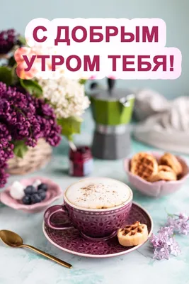 С добрым утром!#видеооткрытка #открыткасдобрымутром#открытка #рекоменд... |  TikTok