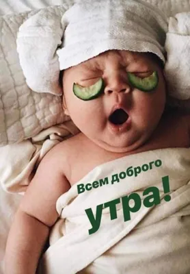 ДОБРОЕ УТРО,СЕМЬЯ! ☀☀☀ ................................................... Доброго  УТРА, пожелайте.. | ВКонтакте