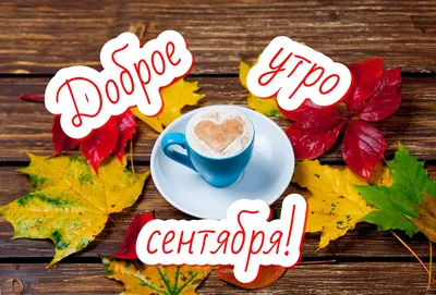 С Добрым Утром Четверга! 21 сентября. #утренниепожелания #доброеутро #... |  TikTok