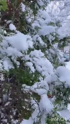 Доброе утро, зима, снег , кофе» — создано в Шедевруме