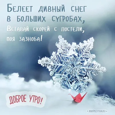 Доброе,зимнее утро ❄️❄️❄️☺️👍🏻! #доброеутро#хорошегодня... | TikTok