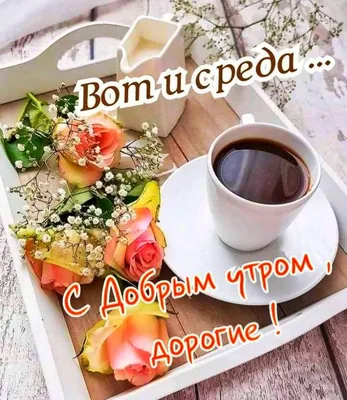 Доброе утро ☕🌹#среда #отличногодня ❤️ | Instagram