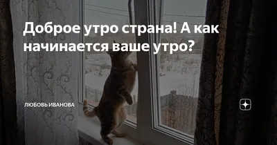 Доброе утро, страны! 100 и 1 рецепт для вкусных завтраков – Книжный  интернет-магазин Kniga.lv Polaris