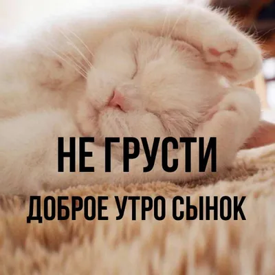 Доброе утро сынок)#доброеутро #дети | Instagram