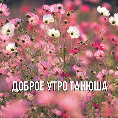 Открытки с именем Татьяна