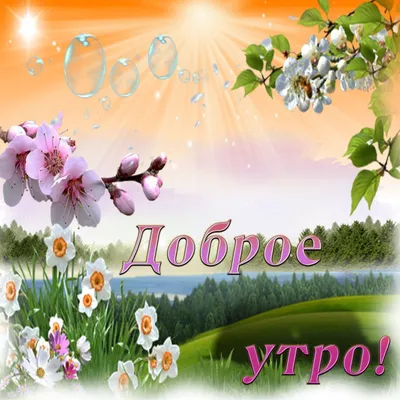 С добрым весенним утром!🌷☀️Солнечного дня! Красивая музыкальная открытка!  - YouTube