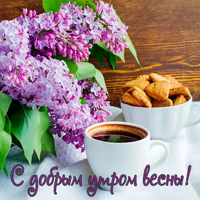 С добрым утром 🌞🌼🌺🌹 | TikTok