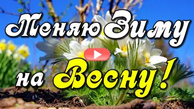 DVOmobile - Доброе утро друзья 🌷 #доброеутро #понедельник #новыйдень #весна  #🌷 | فيسبوك