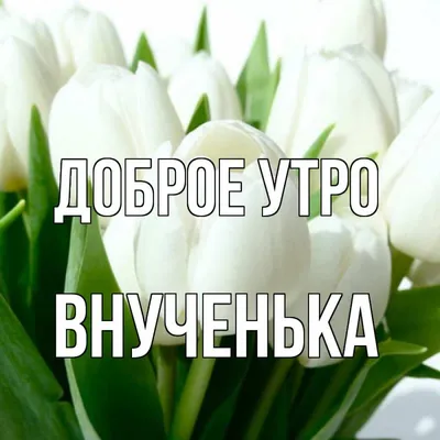 Доброе утро внучка - 79 фото