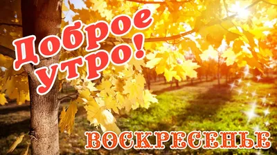 sm1rnovamari - ⛅ДОБРОЕ УТРО ВОСКРЕСЕНЬЯ!🌥️ . Дайте мне тишины, Редких  мгновений нефальши, Чтоб в двух шагах от весны Душу согреть настоящим. 🤫  Дайте мир и покой, И не забудьте удачи, Чтобы лилось