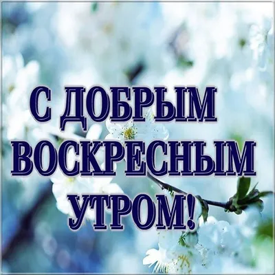 С добрым воскресным утром! | Доброе утро, Воскресенье, Картинки