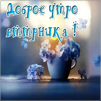 доброеутро#вторник | TikTok