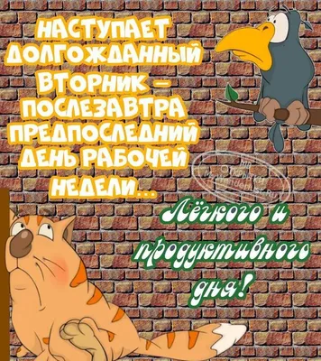 Доброго утра вторника! Хорошего дня! Позитивного осеннего настроения !