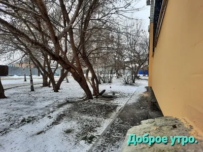 сдобрымутром # | TikTok