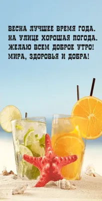 ДОБРОЕ УТРО! 🌞 ПОЗИТИВА 🍊🍎🍋 и главное ЗДОРОВЬЯ ! 🌸❤😉💐😋❤🌸 Улыбнись,  и весь мир улыбнется тебе в ответ… | Жизнеутверждающие цитаты, Цитаты, Юмор  о настроении