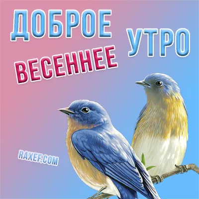 Доброе весеннее утро» — создано в Шедевруме