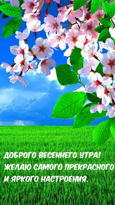 Доброе весеннее утро субботы - самые красивые открытки (45 ФОТО) |  Открытки, Утренние цитаты, Доброе утро