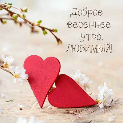 С Добрым Весенним Утром! 1 марта. #доброеутро #сдобрымутром #доброгоут... |  TikTok