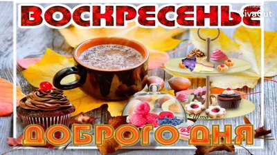 С воскресным утром. Доброго воскресенья вам | Утренние сообщения,  Вдохновляющие цитаты, Открытки