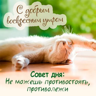 ☕️ Доброе воскресное утро! 🌸 Прочь обиды и сомненья, ворох дел ты  позабудь. - YouTube