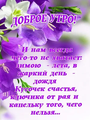 ЛЕТНЕЕ 🌸💜🍃🌺🌿💜🌸 УТРО ДОБРОЕ! | Вдохновляющие цитаты, Цитаты,  Вдохновляющие жизненные цитаты