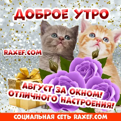 Картинки с надписями. Снова жаркое утро:).