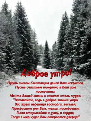 Доброе утро❄️ | Доброе утро, Зимние картинки, Зимние цитаты