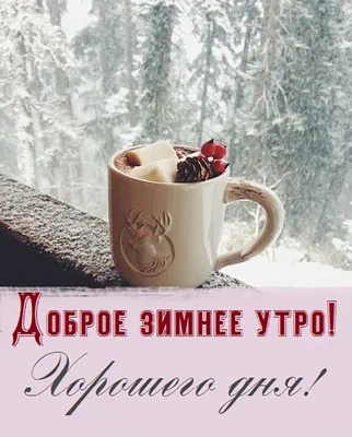 Доброе Зимние Утро❄️С Добрым Утром и Хорошего Дня☃️Музыкальная Открытка с  Пожеланием Доброго Утра❄️ - YouTube