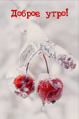 Доброе утро!❄⛄❄ 📖Стих на... - Библия. Погружаясь в Его Слово | Facebook