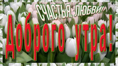 Pin by Павло Труш on Доброго дня | Vegetables, Radish, Food