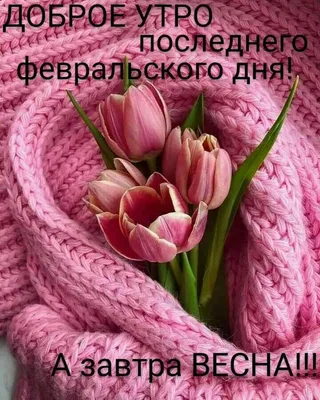 Доброго Февральского Утра! 1 февраля. #доброгоутречка #утречко #доброе... |  TikTok