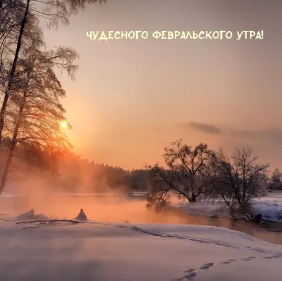 Доброе утро февраля - новые оригинальные открытки (36 ФОТО) | Доброе утро,  Утренние цитаты, Открытки