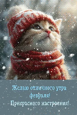 С добрым утром!четверг 22февраля #доброеутречко #четверг #утрочетверга... |  TikTok