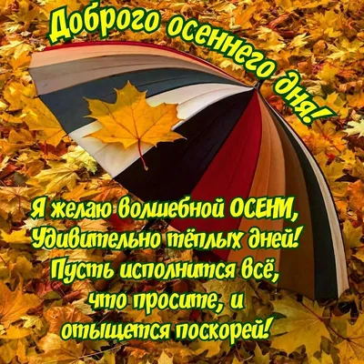 Картинки красивые осенние пожелания доброго утра и хорошего дня (59 фото) »  Картинки и статусы про окружающий мир вокруг