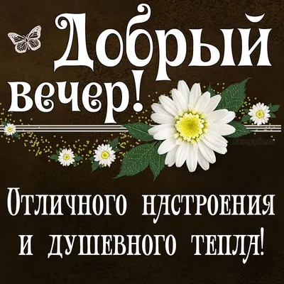 Картинка хорошего и доброго вечера желаю прекрасного настроения — скачать  бесплатно