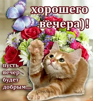 Красивые картинки \"Доброго вечера!\" (364 шт.)