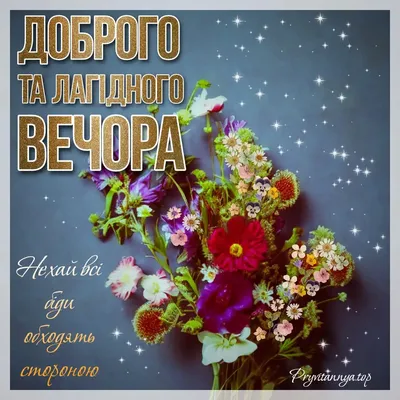 CapCut#Доброго вечора#💙💛🇺🇦 | TikTok