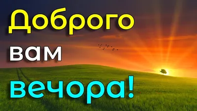 Доброго вечора Четверга : побажання, картинки та привітання - Тут Добре