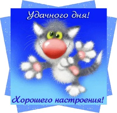 А вы знали, что говорить «доброго времени суток!» — неправильно? В посте  рассказываем, какие еще ошибочные выражения и слова мы часто… | Instagram