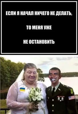 Доброго времени суток , меня интересует в каком году появился нами  обожаемый сайт^г^^ЩИ И каков б / History Joyreactor origins / смешные  картинки и другие приколы: комиксы, гиф анимация, видео, лучший  интеллектуальный