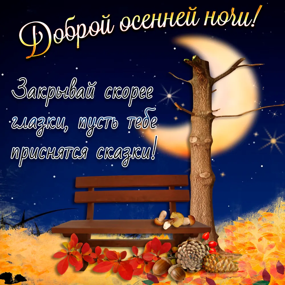Красивое пожелание доброй осенней ночи | Ночь, Осенние картинки, Открытки Красивое пожелание доброй осенней ночи | Ночь, Осенние картинки, Открытки